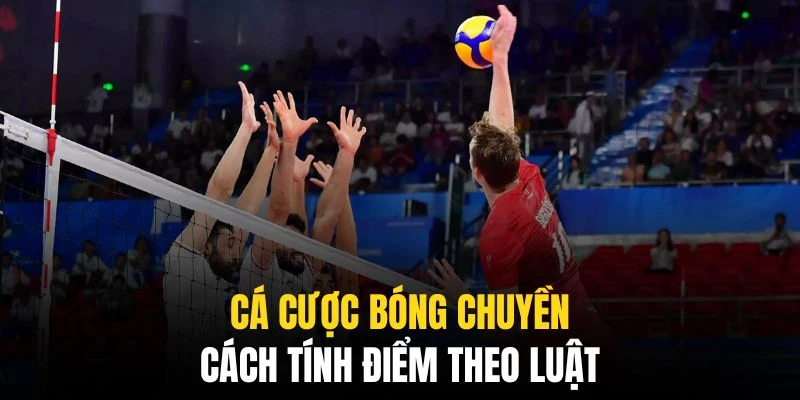 Cá Cược Bóng Chuyền QQ88 - Mọi Thông Tin Cho Mọi Bet Thủ 2 Đây là quy định áp dụng chung cho các trận đấu toàn cầu